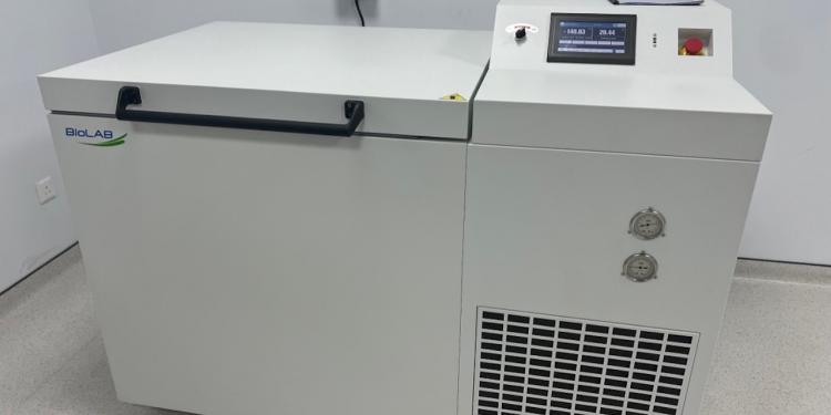 تخزين البنك الحيوي عند -150 أو في النيتروجين السائل (طويل الأمد؛ حتى 1 عام)