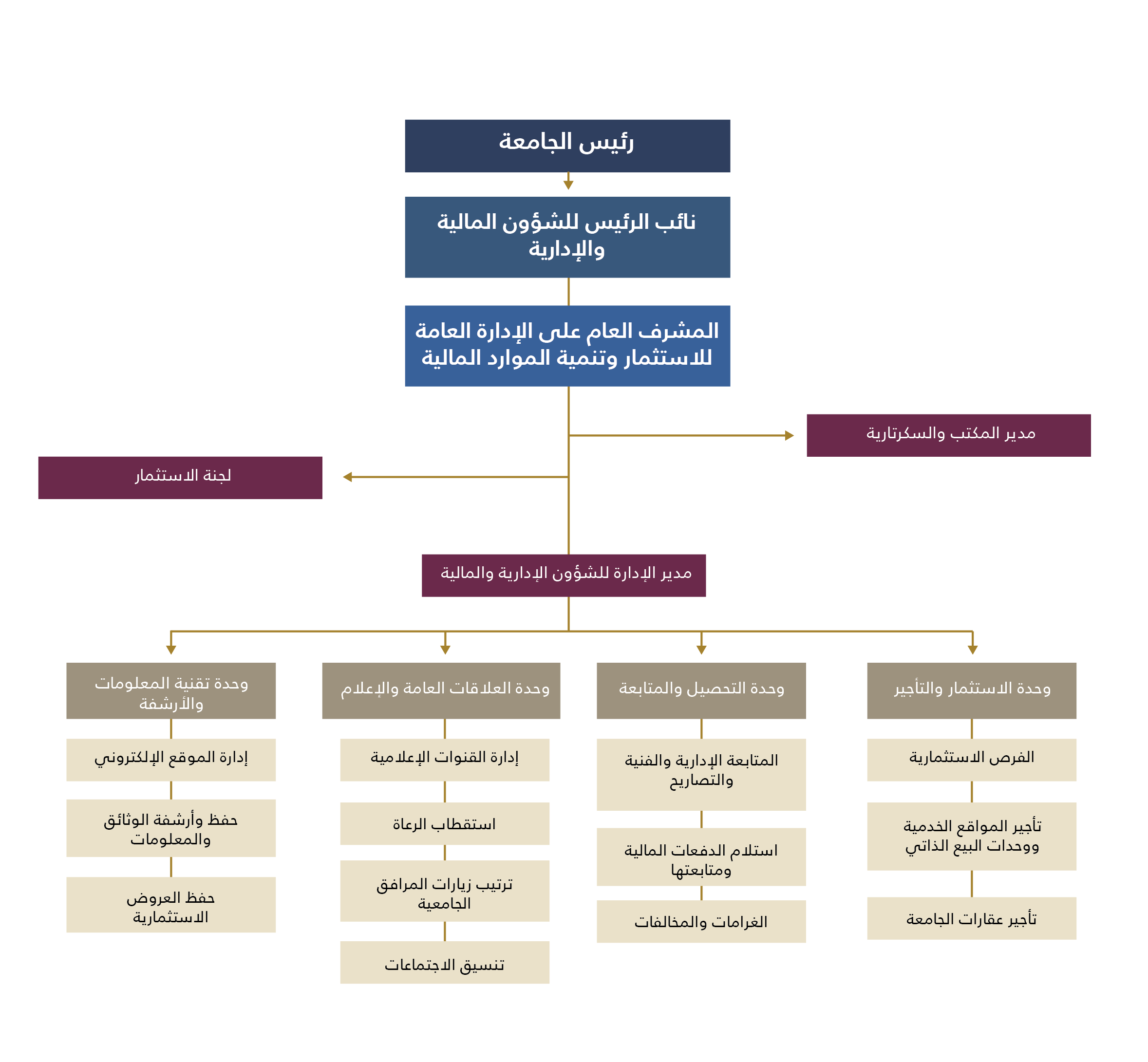 Organizational Structure